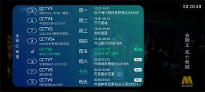 IPv6电视APP，免费的电视直播软件，无缝替换电视家-微能