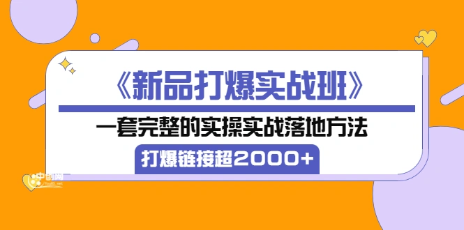 《新品打爆实战班》一套完整的实操实战落地方法，打爆链接超2000+（28节课)-微能