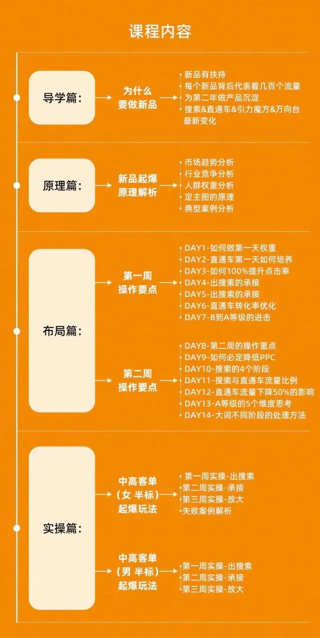 《新品打爆实战班》一套完整的实操实战落地方法，打爆链接超2000+（28节课)插图1