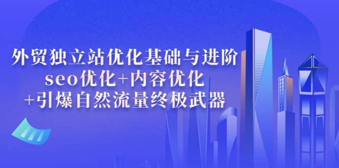 外贸独立站优化基础与进阶，seo优化 内容优化 引爆自然流量终极武器-微能