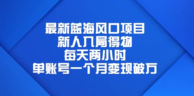 最新蓝海风口项目，新人入局得物，每天两小时，单账号一个月变现破万-微能