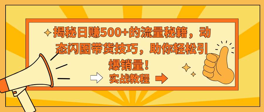 揭秘日赚500+的流量秘籍，动态闪图带货技巧，助你轻松引爆销量-星火微能网